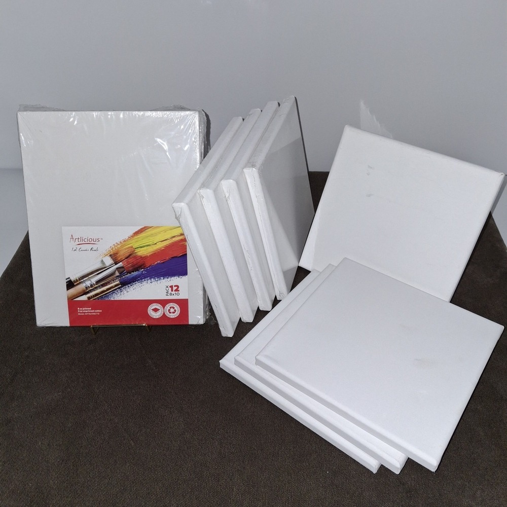 Canvas Blank Lot Set White: Sealed 12 Pk 8x10 & 4 8x8. Then 4x4 Open Pkg (Blank)